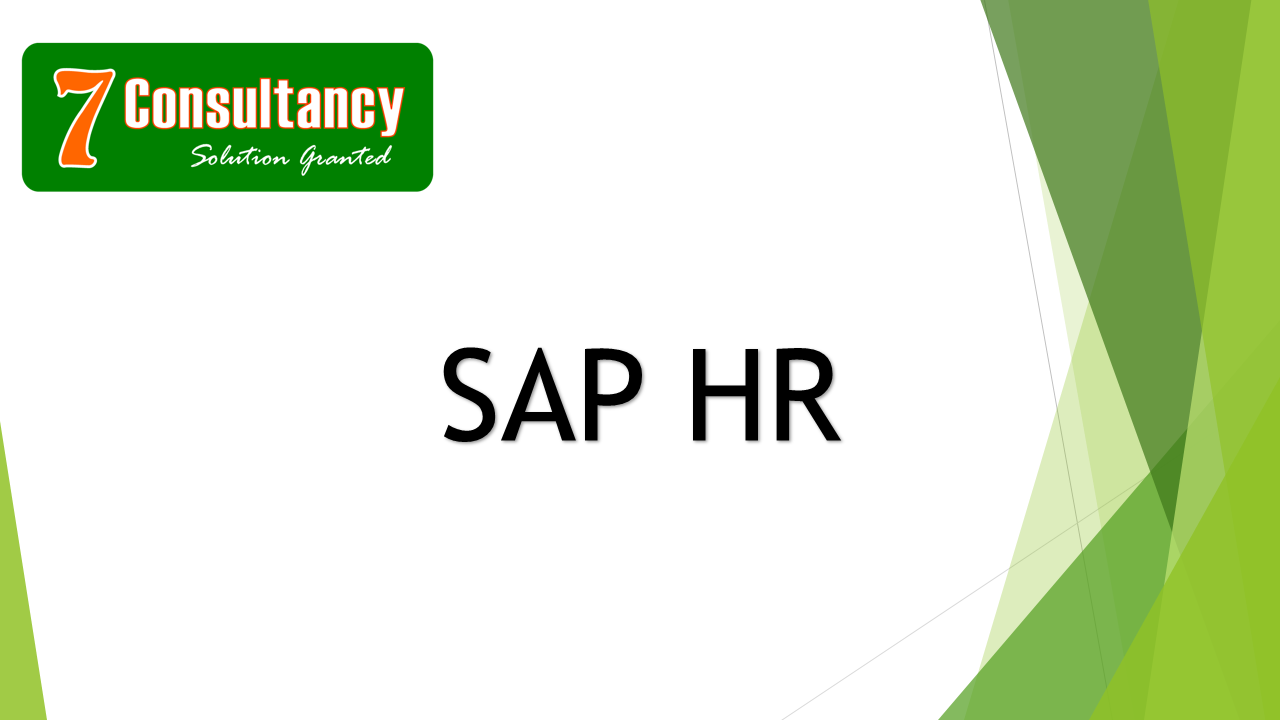 WHAT IS SAP HR